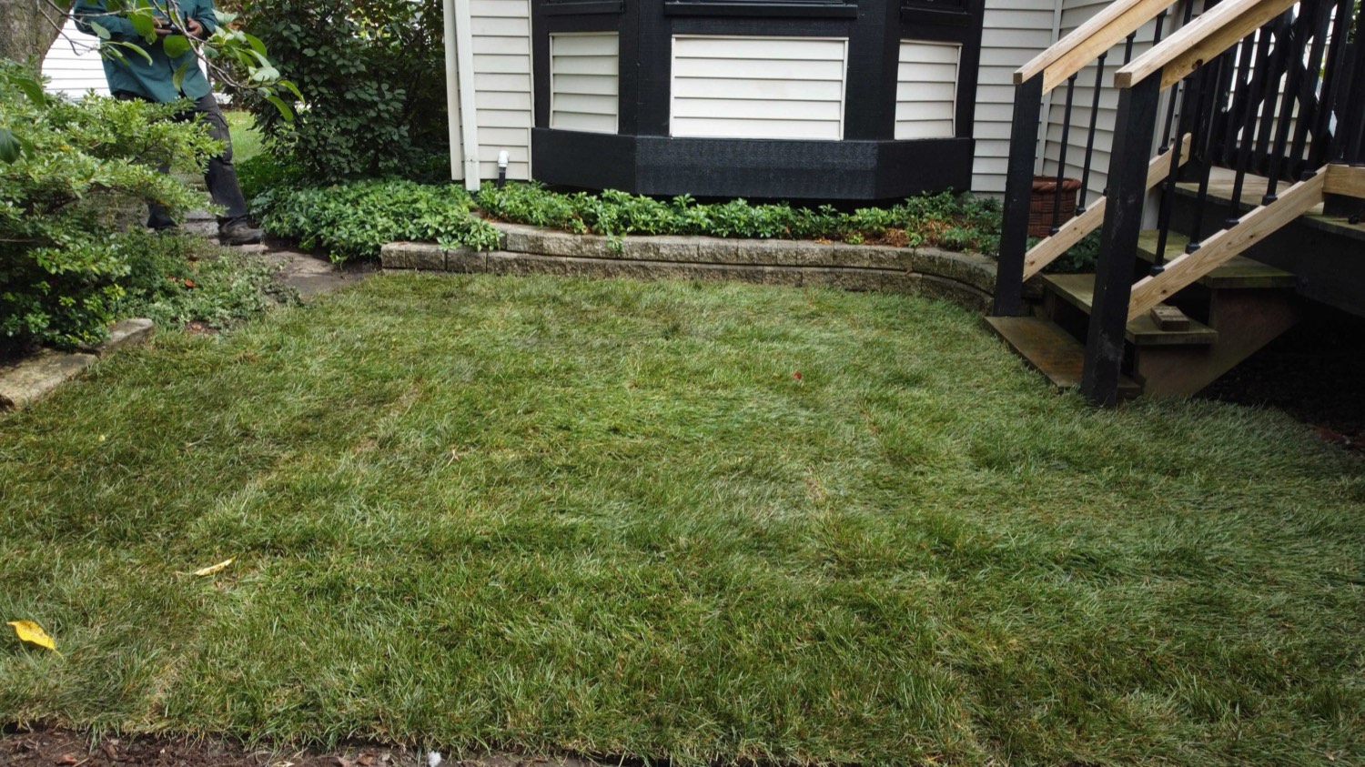 Fresh sod install by Durane’s Landscaping